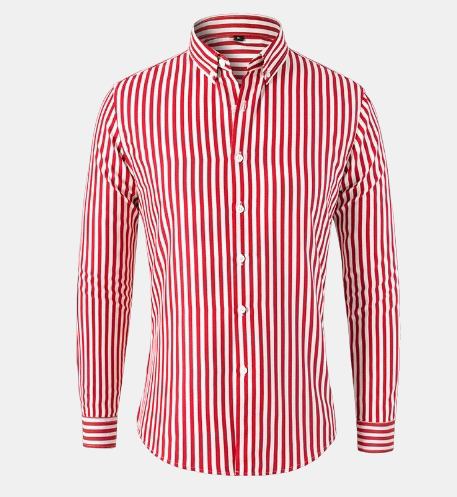 ALEJANDRO | Camisa de rayas entallada